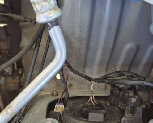 WhatsApp Image 2026-03-13 at 12.36.45 (3)