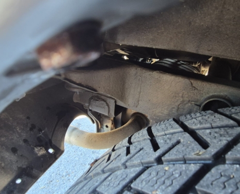 WhatsApp Image 2026-03-13 at 12.36.46 (1)